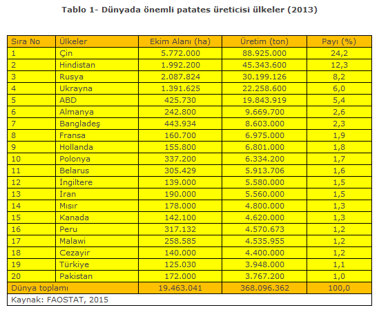 zmo-patates-dosyasi-01