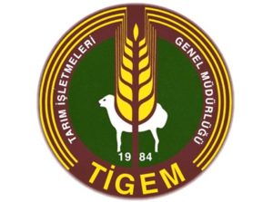 tigem-logo